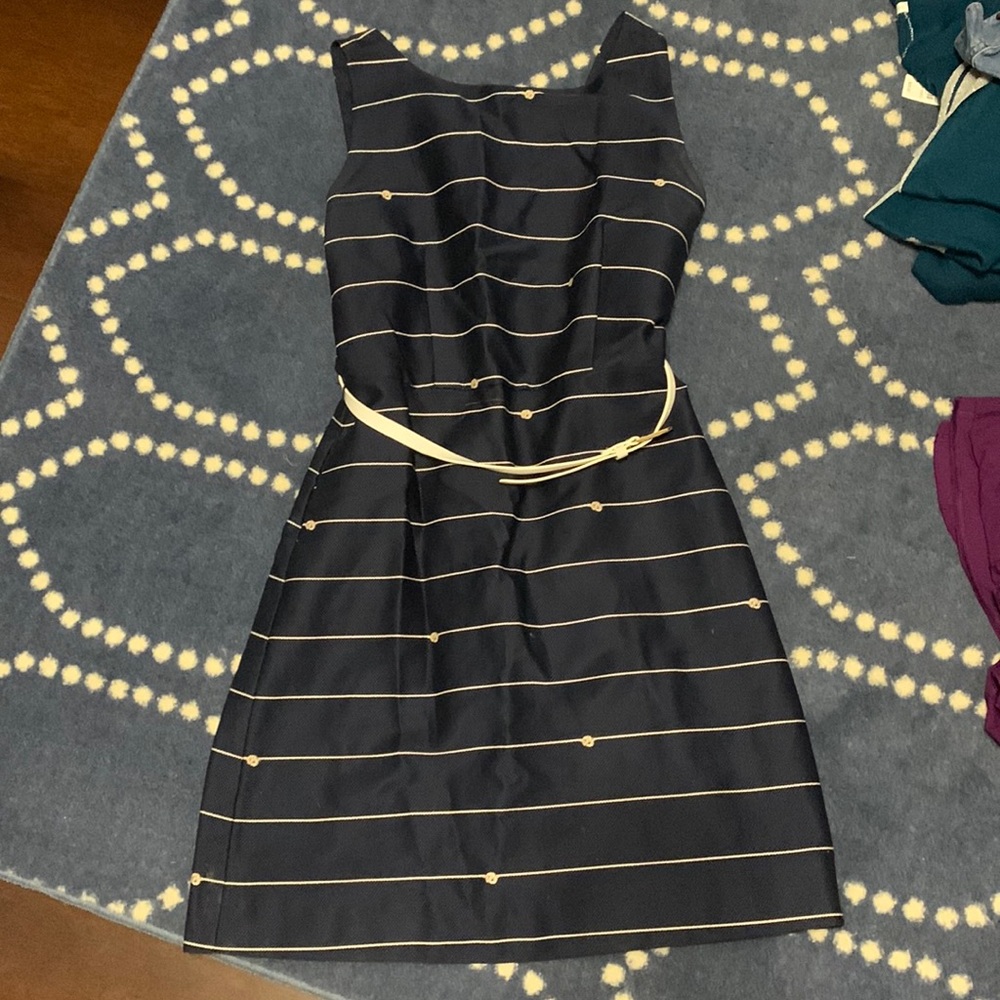 The limited navy striped dress